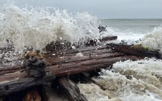 Nor’easter 在楠塔基特島發現了 19 世紀沉船殘骸