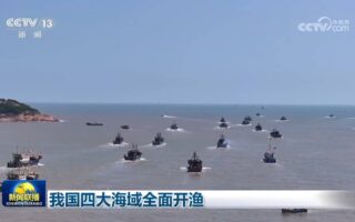 我國四大海域全面開漁