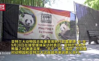亞特蘭大動物園總裁：與大熊貓的久別重逢令人振奮