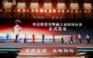 從跟隨到定義，國臺