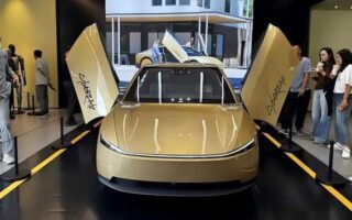 Is Tesla the savior of Robotaxi?