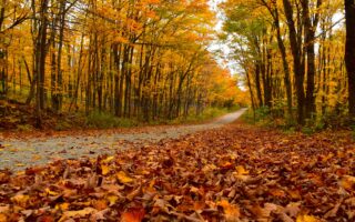 Autumnal equinox marks the start of fall, but heat could stick around