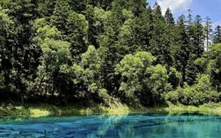 Emergency notices for many scenic spots: National Day tickets are sold out; Jiuzhaigou: sold out from the 1st to the 5th; Daocheng Yading: fully booked 5 days ago; Palace Museum: fully booked from the 1st to the 6th; Sanxingdui Museum: 1st