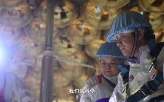 追光的你