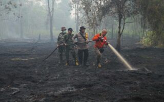 This year’s El Nino-driven heat could cause nearly half a million more deaths, group says