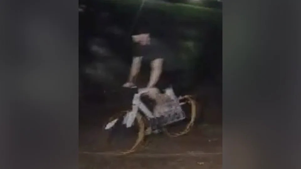 Man flees on a bike with luxury towels after becoming infatuated with a rubber duck