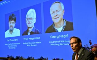 Stanford scientist shares Nobel Prize in medicine for breakthrough in brain research