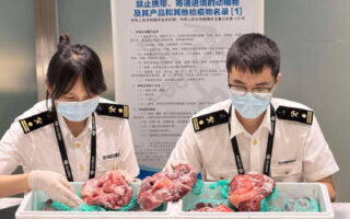 海關提醒：這些“伴手禮”別帶回國