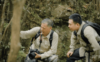 何以中國・青綠人間丨山常青水長流 新安江畔共護生靈