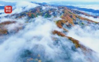 Autumn is deep and the leaves are red! The most beautiful autumn colors in these places are online
